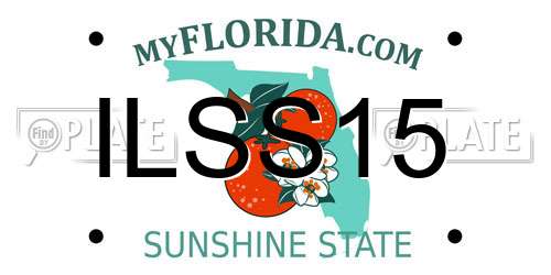 ILSS15 Florida License Plate