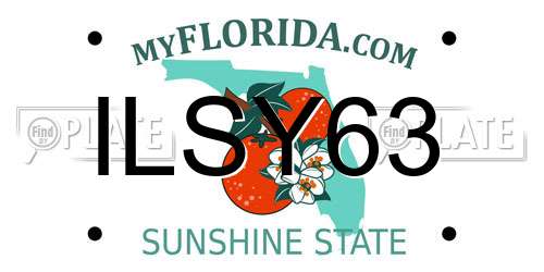 ILSY63 Florida License Plate