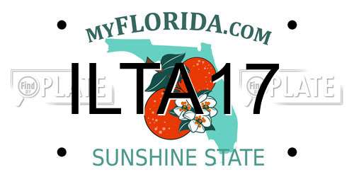 ILTA17 Florida License Plate