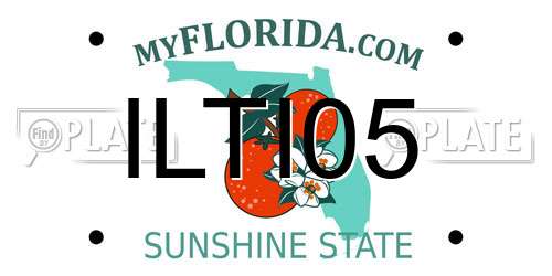 ILTI05 Florida License Plate
