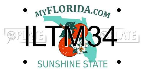 ILTM34 Florida License Plate