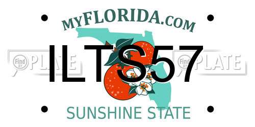 ILTS57 Florida License Plate