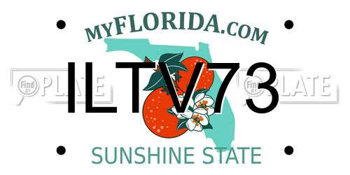 ILTV73 Florida License Plate