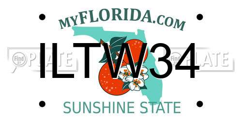 ILTW34 Florida License Plate
