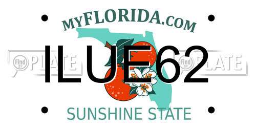 ILUE62 Florida License Plate