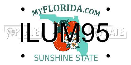 ILUM95 Florida License Plate