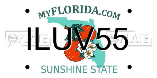 ILUV55 Florida License Plate