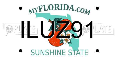 ILUZ91 Florida License Plate