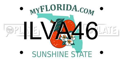 ILVA46 Florida License Plate