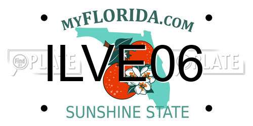 ILVE06 Florida License Plate