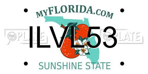 ILVL53 Florida License Plate