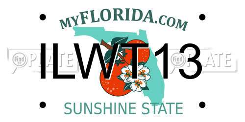 ILWT13 Florida License Plate