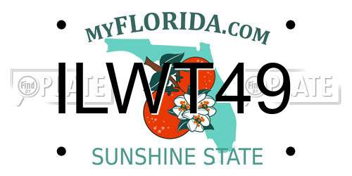 ILWT49 Florida License Plate
