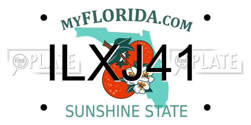 ILXJ41 Florida License Plate