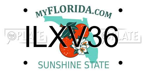 ILXV36 Florida License Plate