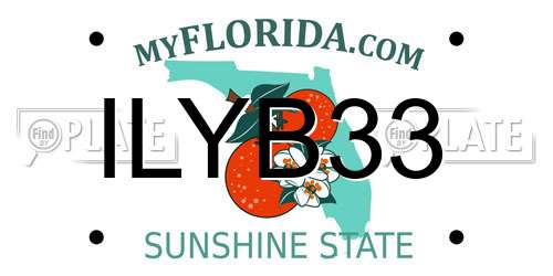 ILYB33 Florida License Plate