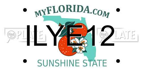ILYE12 Florida License Plate