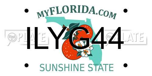 ILYG44 Florida License Plate