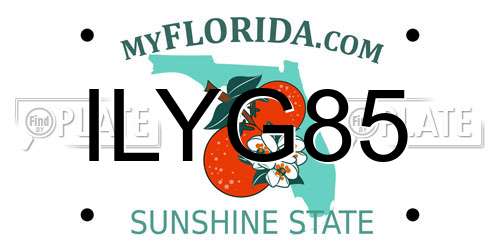 ILYG85 Florida License Plate