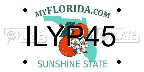 ILYP45 Florida License Plate