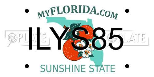 ILYS85 Florida License Plate
