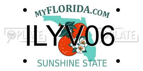 ILYV06 Florida License Plate