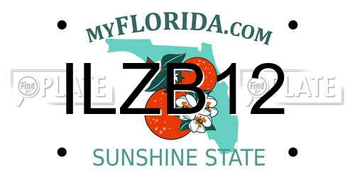 ILZB12 Florida License Plate