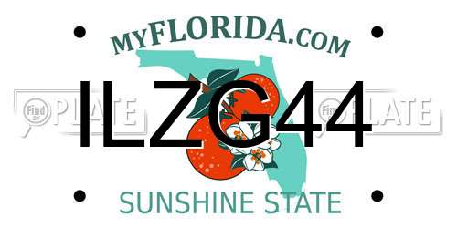 ILZG44 Florida License Plate