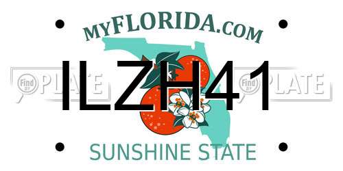 ILZH41 Florida License Plate