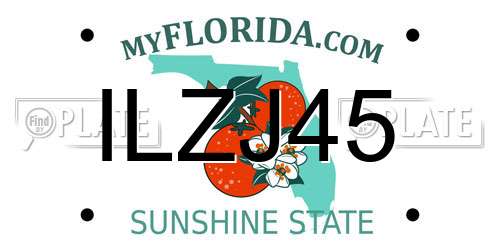 ILZJ45 Florida License Plate