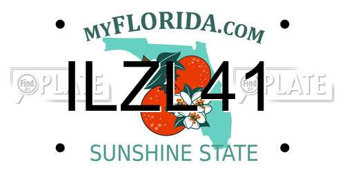 ILZL41 Florida License Plate