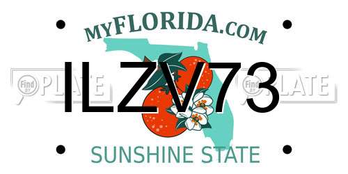 ILZV73 Florida License Plate