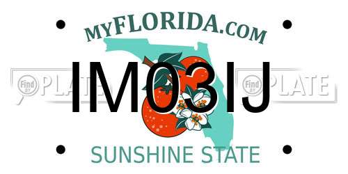 IM03IJ Florida License Plate
