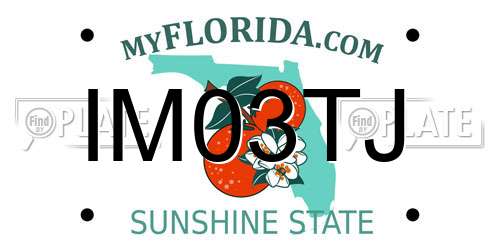 IM03TJ Florida License Plate