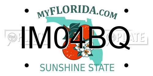 IM04BQ Florida License Plate