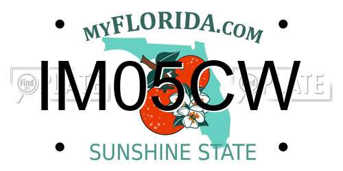 IM05CW Florida License Plate