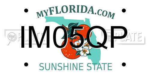 IM05QP Florida License Plate