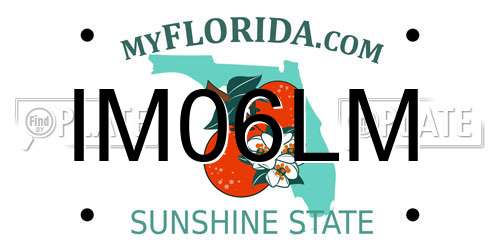 IM06LM Florida License Plate