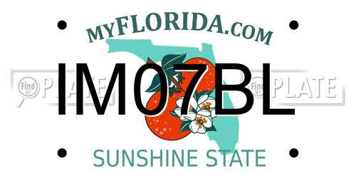 IM07BL Florida License Plate