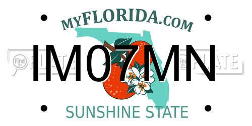 IM07MN Florida License Plate