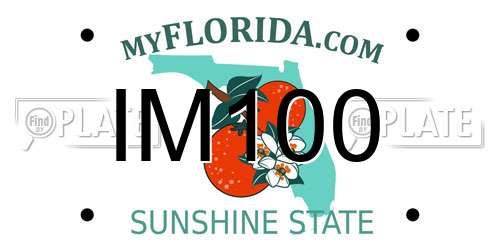 IM100 Florida License Plate