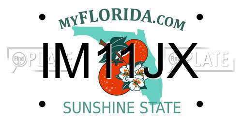 IM11JX Florida License Plate