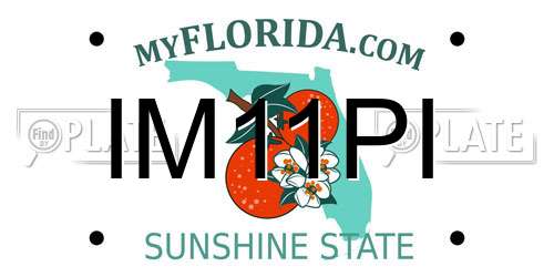 IM11PI Florida License Plate