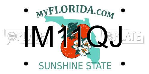 IM11QJ Florida License Plate