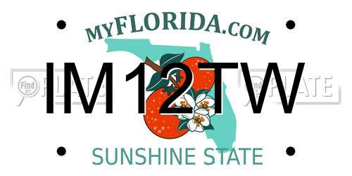 IM12TW Florida License Plate