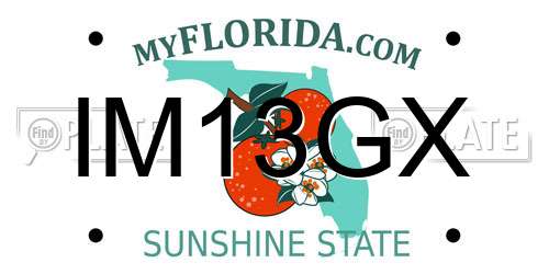 IM13GX Florida License Plate