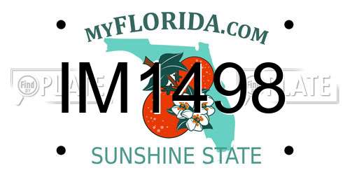 IM1498 Florida License Plate
