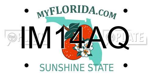IM14AQ Florida License Plate