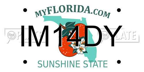 IM14DY Florida License Plate