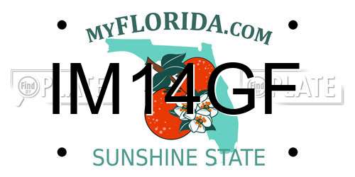 IM14GF Florida License Plate